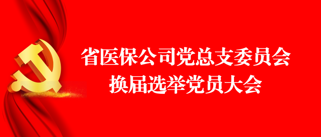 省医保公司党总支顺利召开换届选举大会